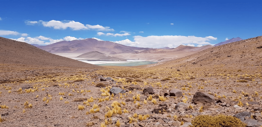 Пустыня Атакама и Лагуна Санта Роса.