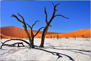 Намибия, Африка