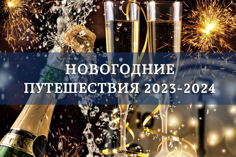 Новый год2023-2024